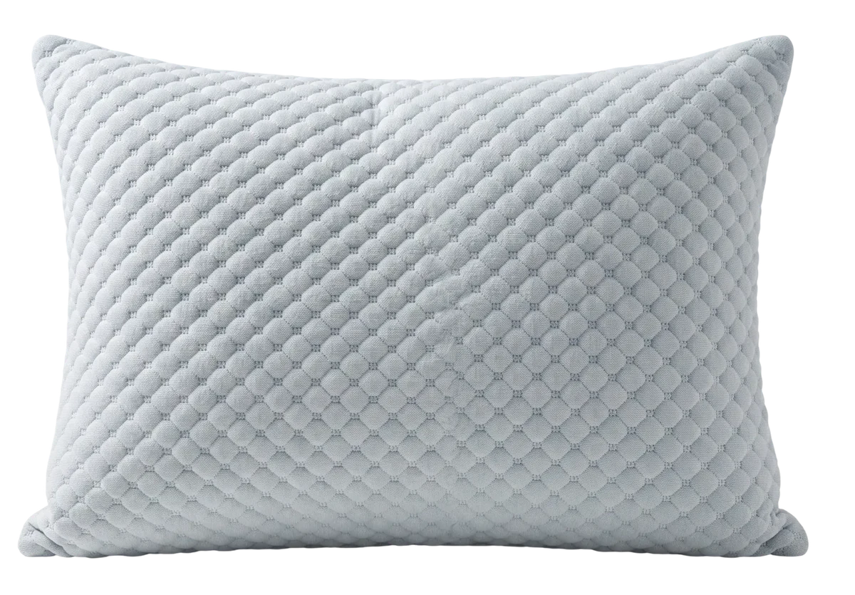 2 pillows (1+1 free)